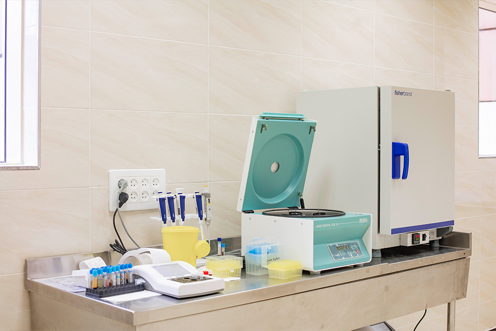 {"en":"Equipment photo 20","es":"Equipamiento foto 20","fr":"\u00c9quipement photo 20"}