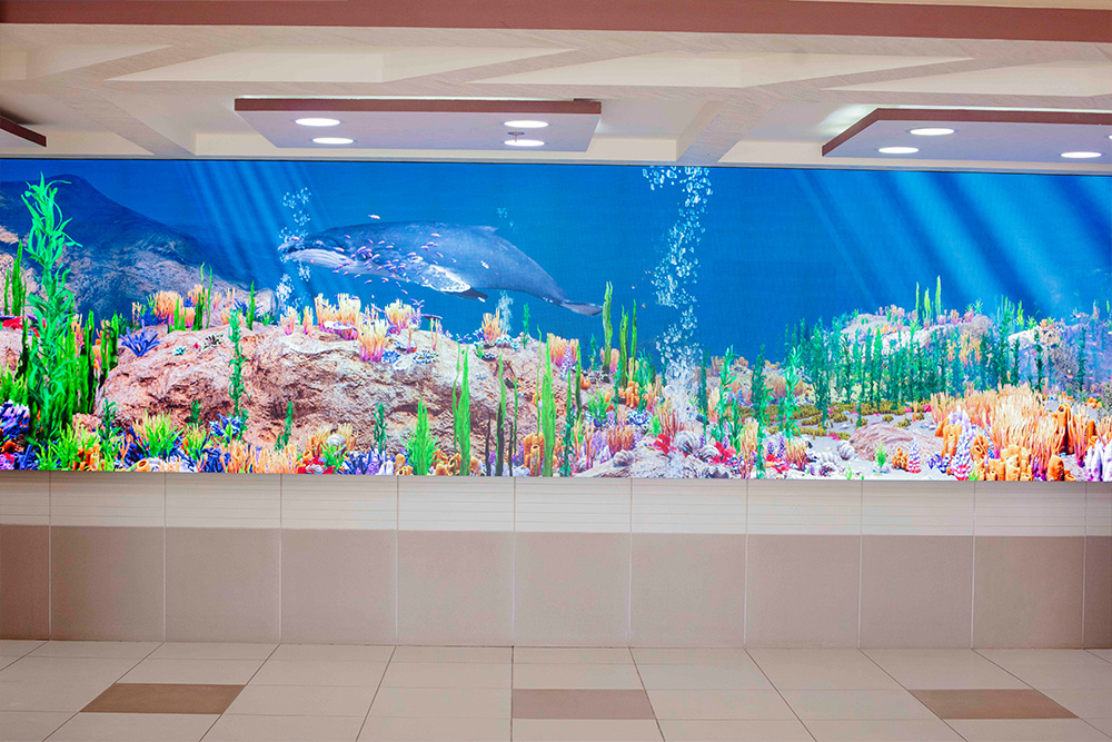 Establishment photo 35